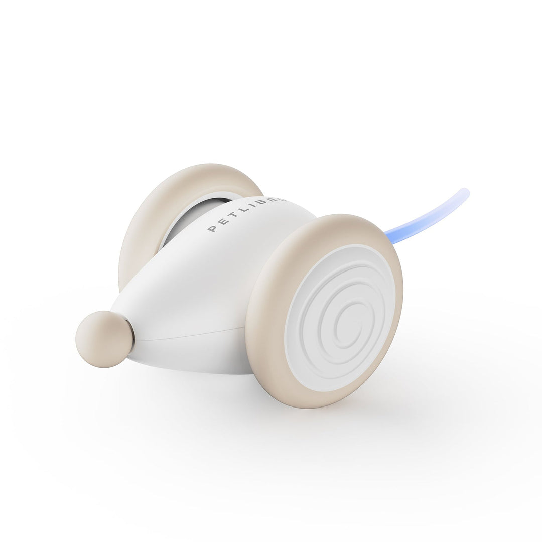 The Ultimate Chew-Resistant Cat Toy - WhiskerPlay Bowlift