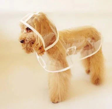 Transparent Waterproof Raincoat for Dogs - DryPaw Bowlift