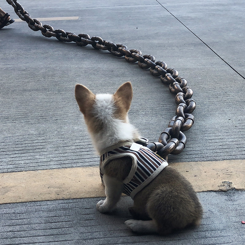 Trendy and Fun Dog Leash - PawChic Bowlift