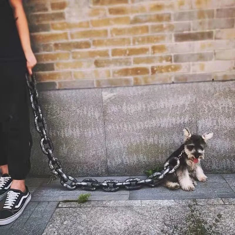 Trendy and Fun Dog Leash - PawChic Bowlift