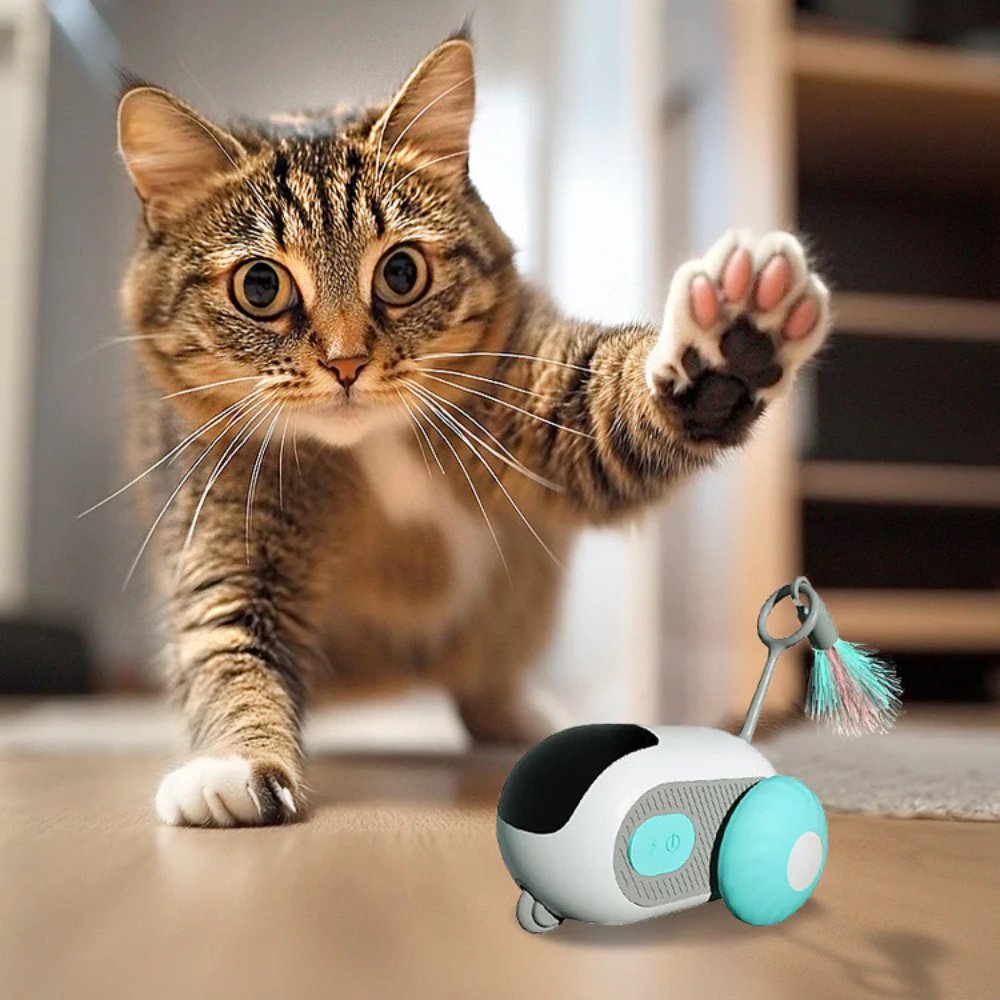 TurboChase • Interactive Cat Chase Toy - Cat Chase Toy - BowLift