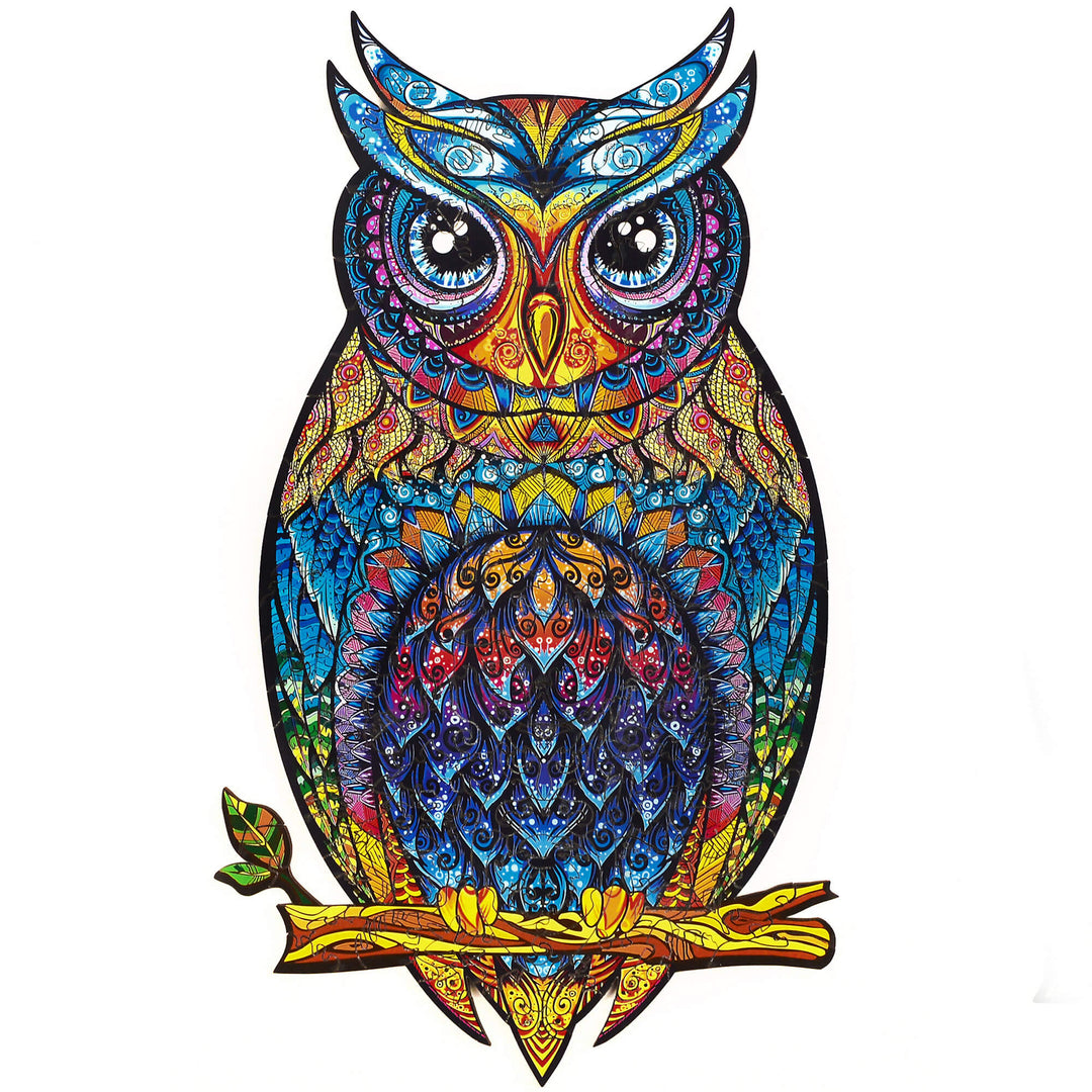 The graceful owl Bowlift