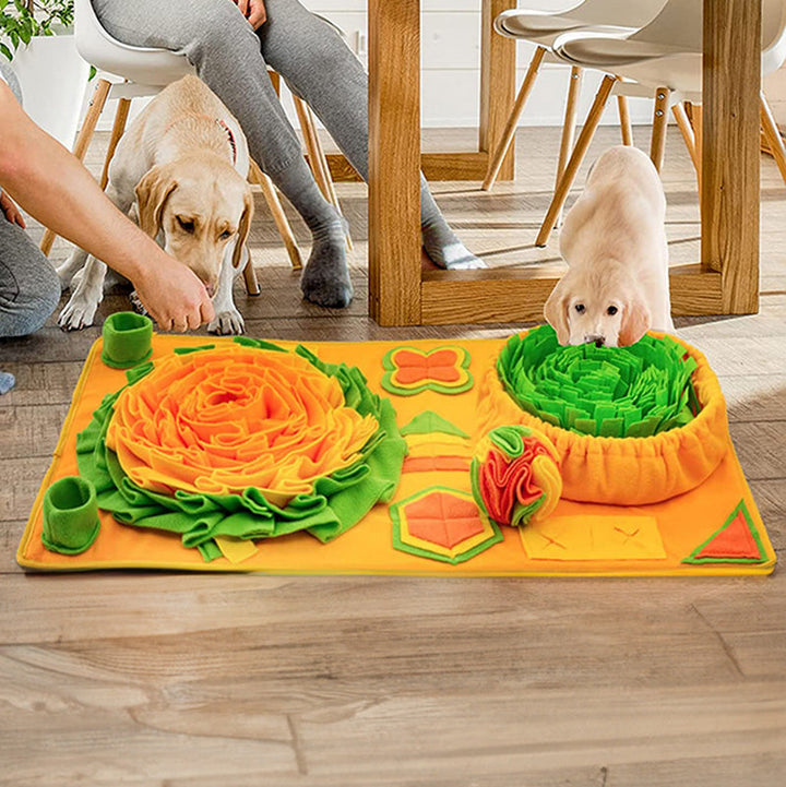 BowLift | Snuffle Mat for Dogs