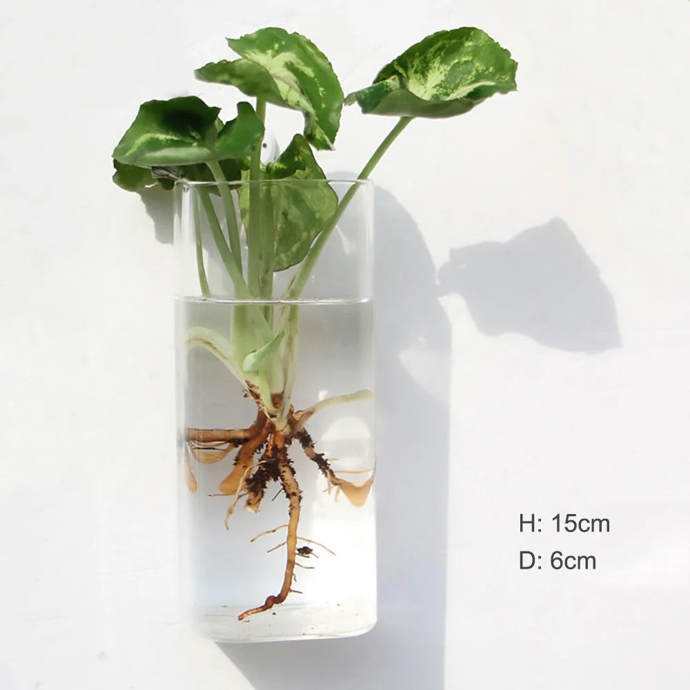 BowLift | Wall vase made of glass