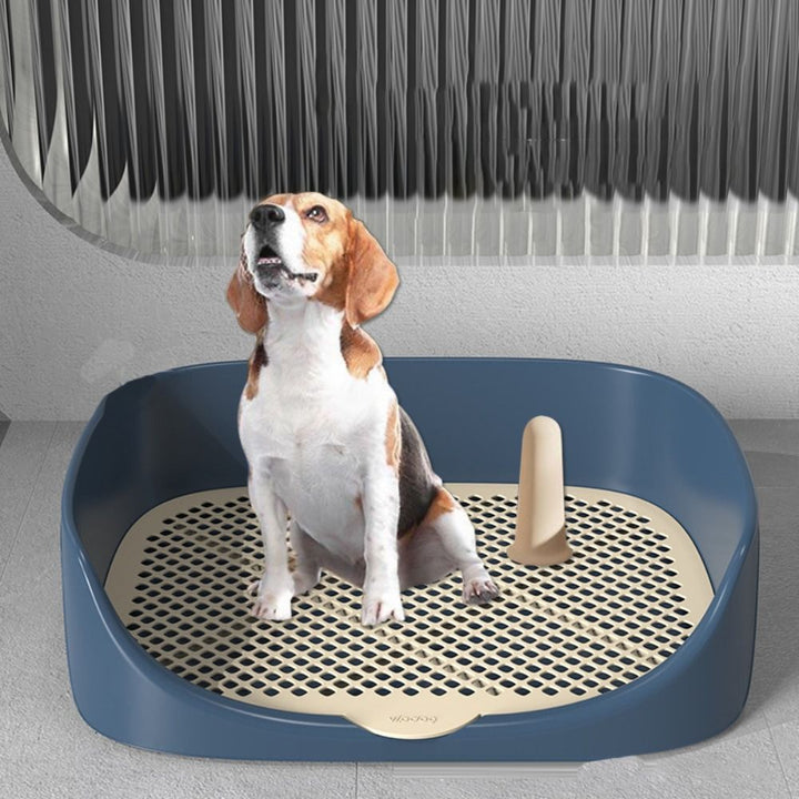 BowLift | VICTOR TRAINER – Practical Toilet Trainer for Puppies with Anti-Splash Protection