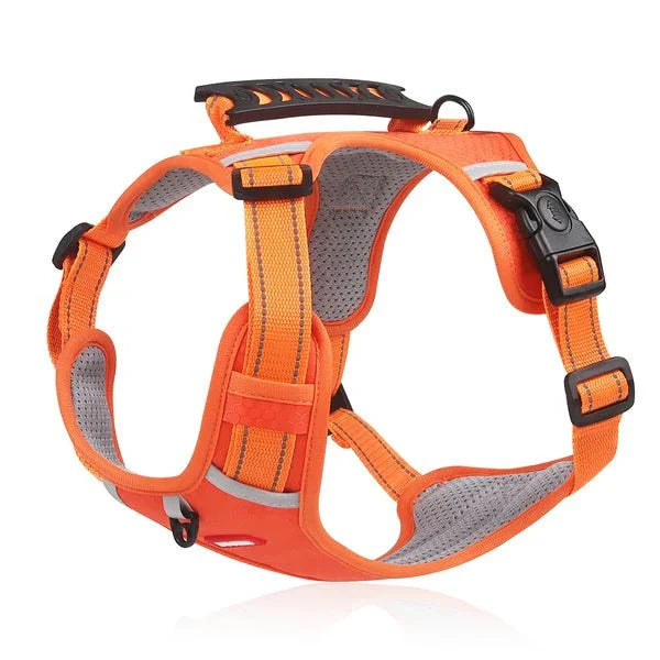 BowLift | WalkEase Harness – Anti-pull dog harness for relaxed walks & healthy posture