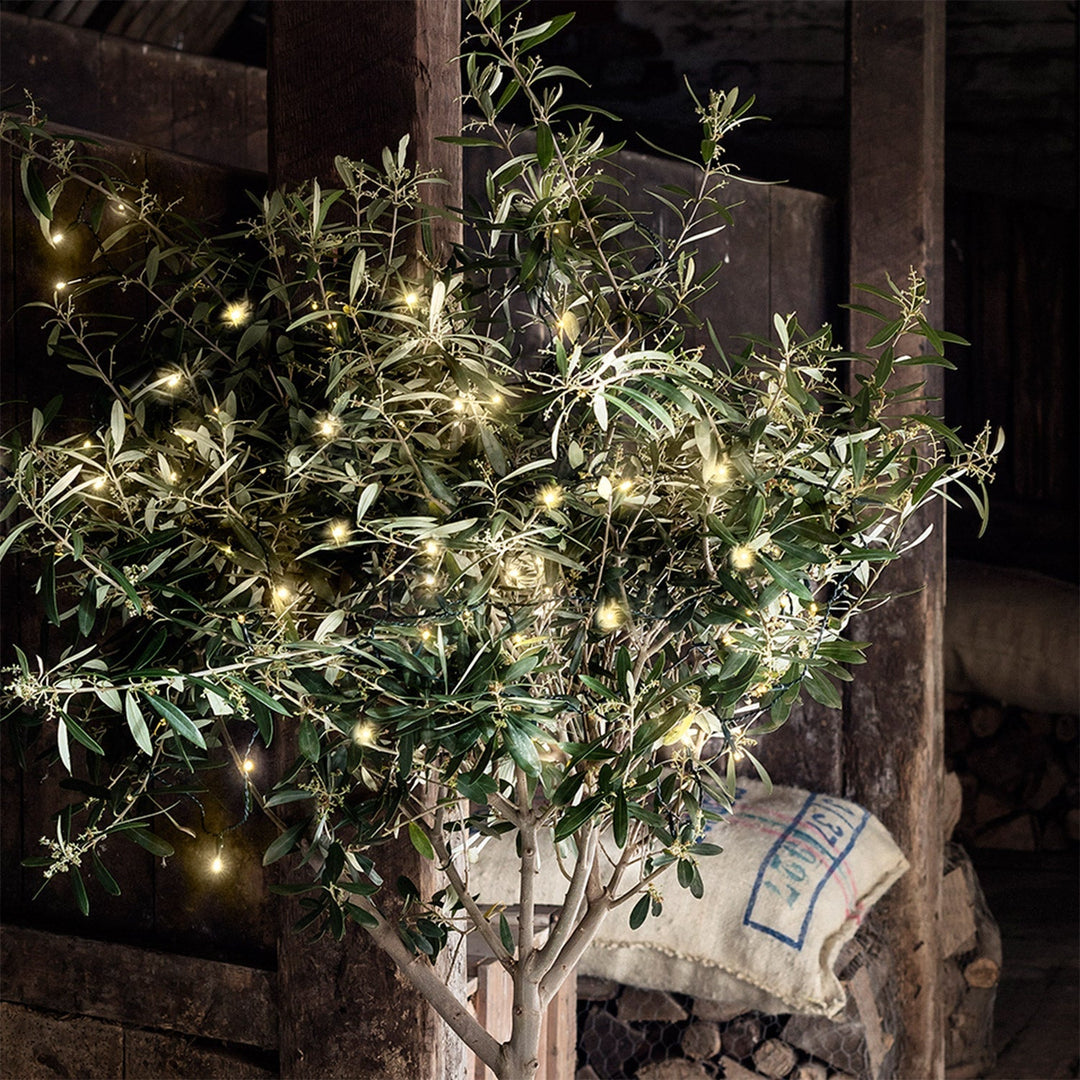 BowLift | Christmas Decorations LED String Lights