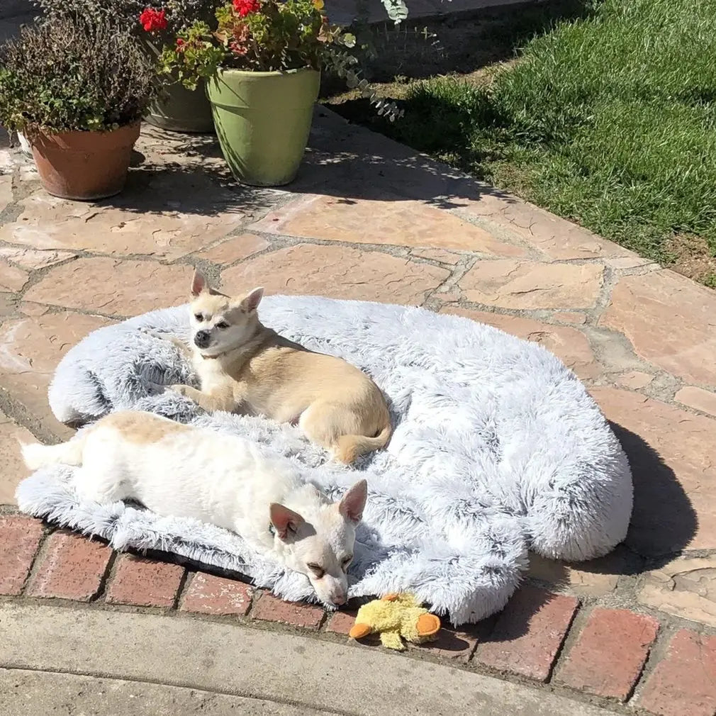 Washable Pet Sofa Blanket - PlushNest Bowlift