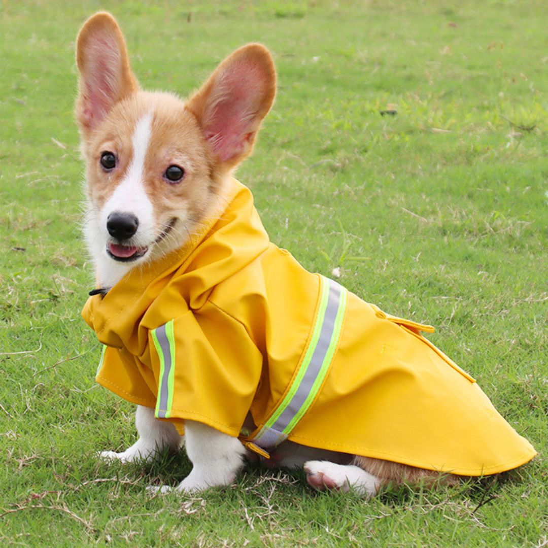 Waterproof Dog Coat - StormPaw Bowlift