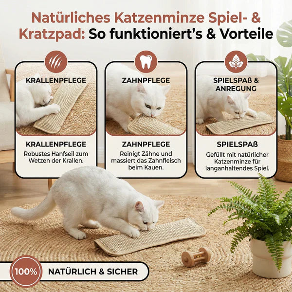 Scratching pillow for cats with catnip durable and sturdy Bowlift