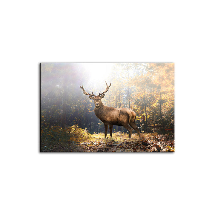 Majestic Deer In The Woods - Canvas Wall Art Painting | Bowlift