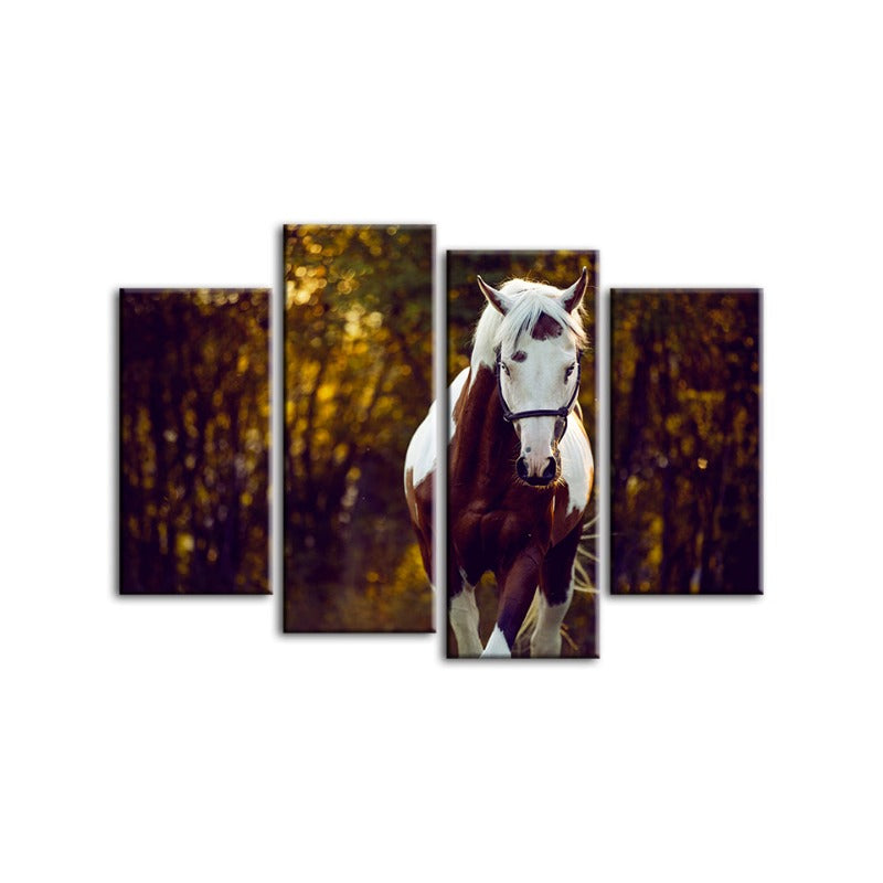 4 Piece Courtly Overo Horse - Canvas Wall Art Painting | Bowlift