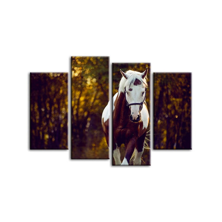 4 Piece Courtly Overo Horse - Canvas Wall Art Painting | Bowlift