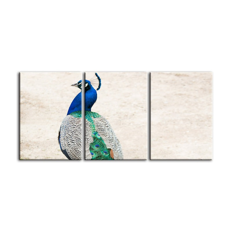 Skirted Elegant Peacock-Canvas Wall Art Painting 3 Pieces | Bowlift