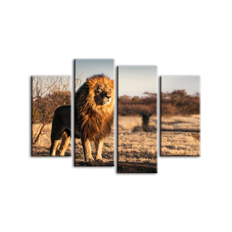4 Piece Majestic Lion Bathed in Sunlight - Canvas Wall Art Painting | Bowlift