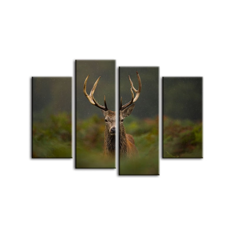 4 Piece Curios Deer Amongst Ferns - Canvas Wall Art Painting | Bowlift