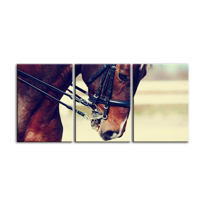 Graceful Haltered Horse-Canvas Wall Art Painting 3 Pieces | Bowlift