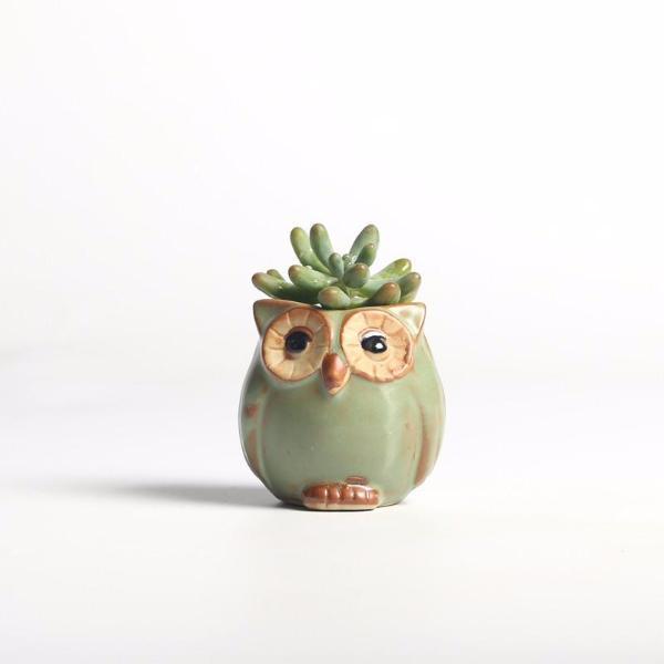 BowLift | Owls Ceramic Flower Pot Set 5-piece