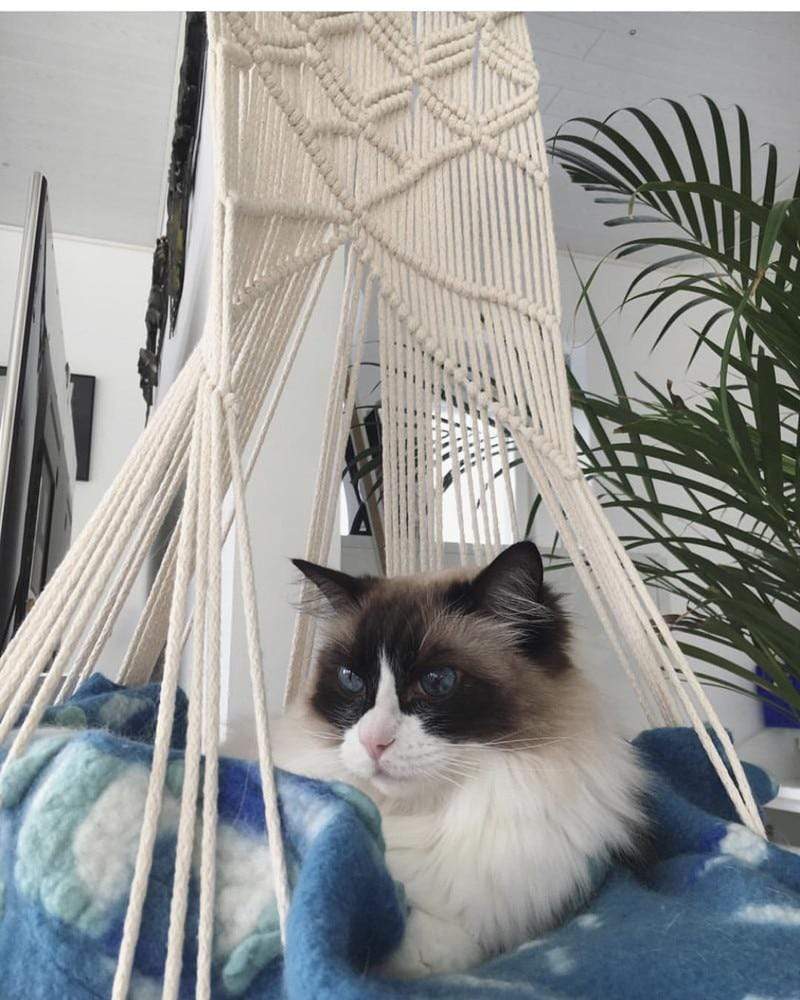BowLift | Macrame Wall Hanging Cat Bed