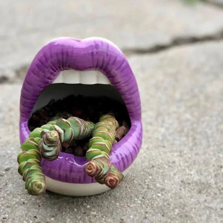 BowLift | Patty - Unique lip-shaped plant pot