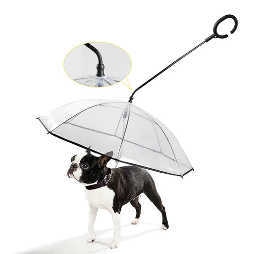 RainGuard Umbrella - Transparent Dog Screen Bowlift