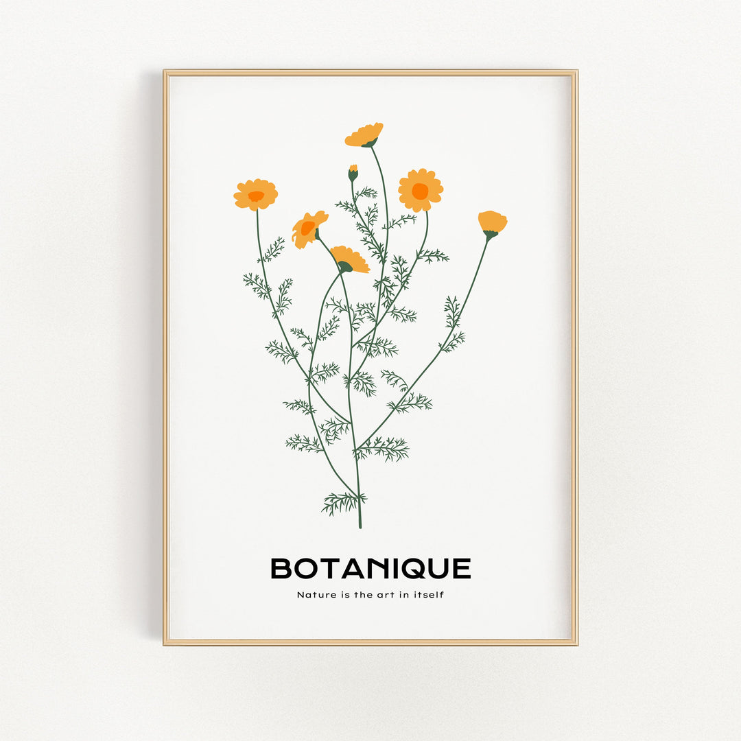 Dandelions | Bowlift