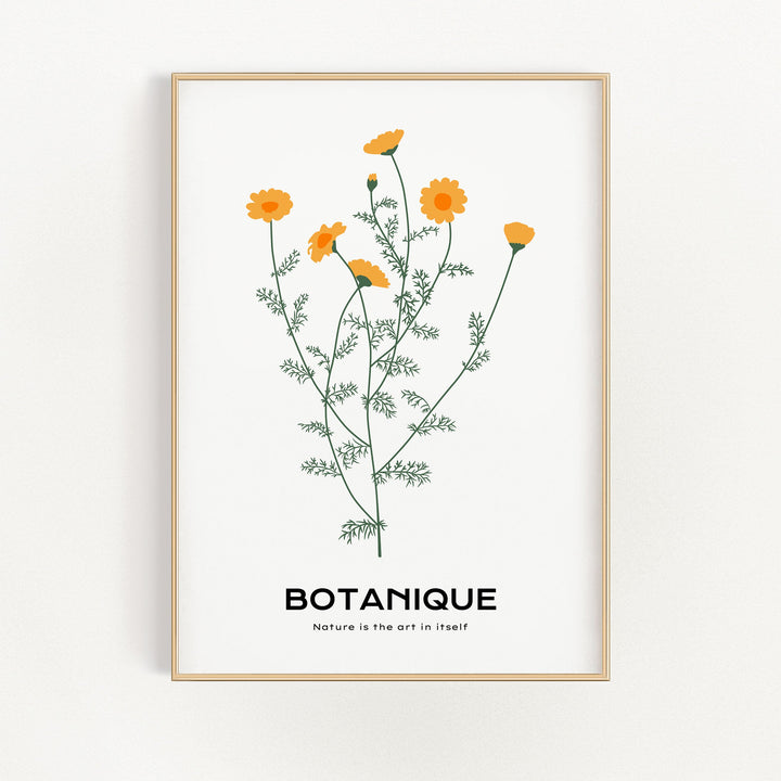 Dandelions | Bowlift