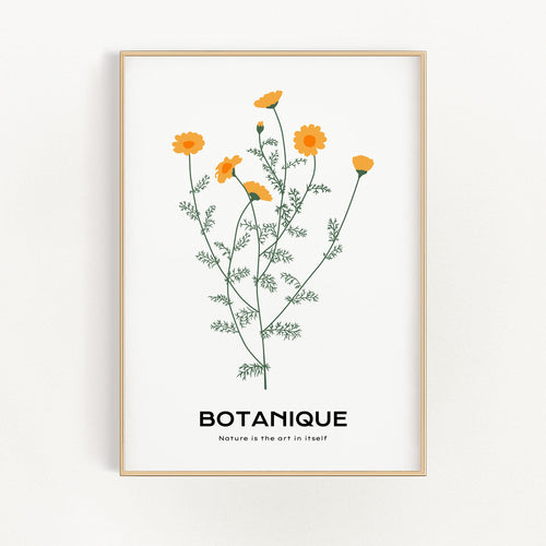 Dandelions | Bowlift