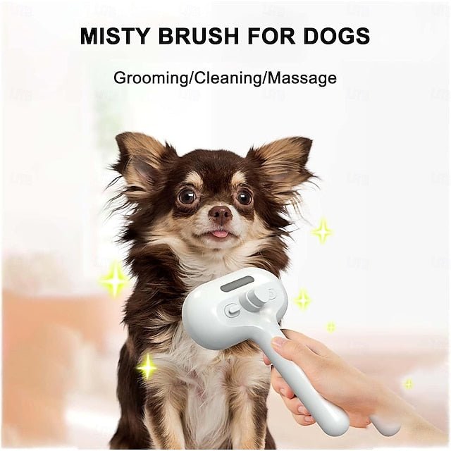 BowLift | PetGlow | Experience the radiant softness